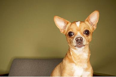 经典游戏重制合集《FATE: Reawakened》将登陆主机